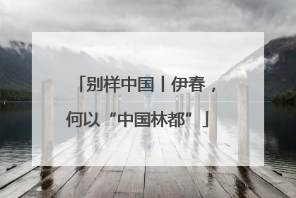 别样中国丨伊春，何以“中国林都”