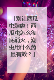 别让西瓜虫肆虐！西瓜虫怎么彻底消灭，潮虫用什么药最有效？
