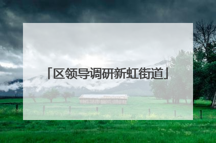 区领导调研新虹街道