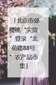 北京市郊樱桃“尖货”登录“北苑路88号”农产品市集