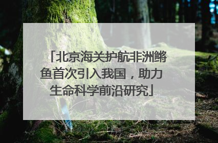 北京海关护航非洲鳉鱼首次引入我国，助力生命科学前沿研究