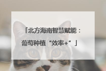 北方海南智慧赋能：葡萄种植“效率+”