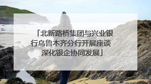 北新路桥集团与兴业银行乌鲁木齐分行开展座谈 深化银企协同发展