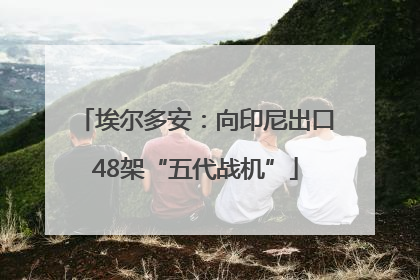 埃尔多安：向印尼出口48架“五代战机”