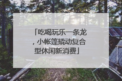 吃喝玩乐一条龙，小帐篷撬动复合型休闲新消费