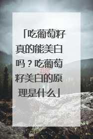 吃葡萄籽真的能美白吗？吃葡萄籽美白的原理是什么