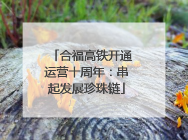 合福高铁开通运营十周年：串起发展珍珠链