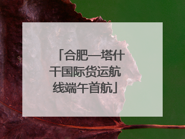 合肥—塔什干国际货运航线端午首航