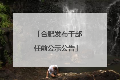 合肥发布干部任前公示公告