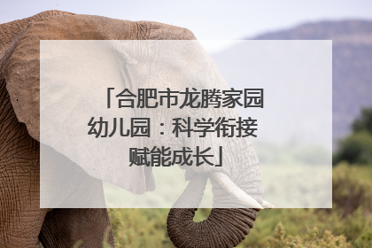 合肥市龙腾家园幼儿园：科学衔接 赋能成长
