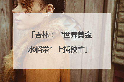 吉林：“世界黄金水稻带”上插秧忙