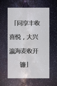 同享丰收喜悦，大兴瀛海麦收开镰