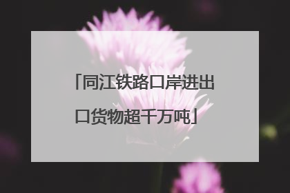 同江铁路口岸进出口货物超千万吨