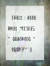 同江：科技种出“红宝石”鼓起村民“钱袋子”