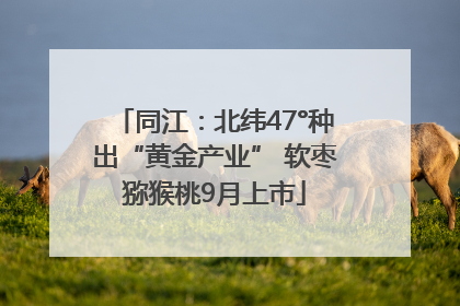 同江：北纬47°种出“黄金产业” 软枣猕猴桃9月上市