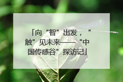 向“智”出发，“触”见未来——“中国传感谷”探访记