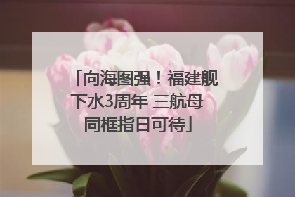 向海图强！福建舰下水3周年 三航母同框指日可待