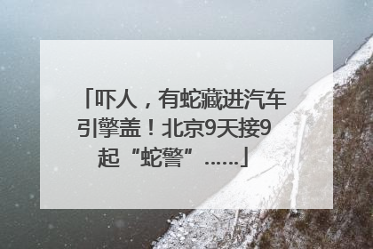 吓人，有蛇藏进汽车引擎盖！北京9天接9起“蛇警”……