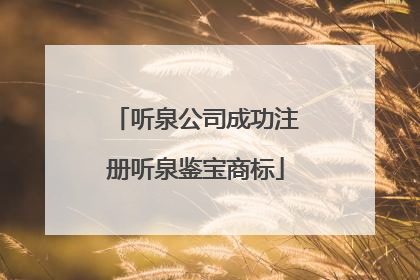 听泉公司成功注册听泉鉴宝商标