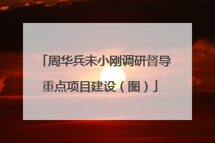 周华兵未小刚调研督导重点项目建设（图）