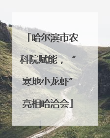 哈尔滨市农科院赋能，“寒地小龙虾”亮相哈洽会