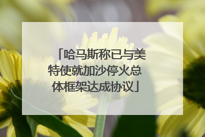 哈马斯称已与美特使就加沙停火总体框架达成协议