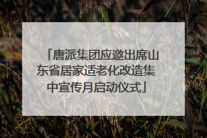 唐派集团应邀出席山东省居家适老化改造集中宣传月启动仪式