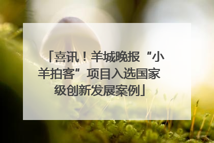 喜讯！羊城晚报“小羊拍客”项目入选国家级创新发展案例