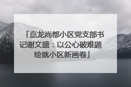 嘉龙尚都小区党支部书记谢文盛：以公心破难题 绘就小区新画卷