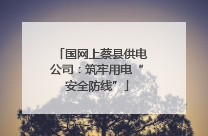 国网上蔡县供电公司：筑牢用电“安全防线”