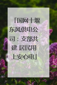 国网十堰东风供电公司：支部共建 居民用上安心电