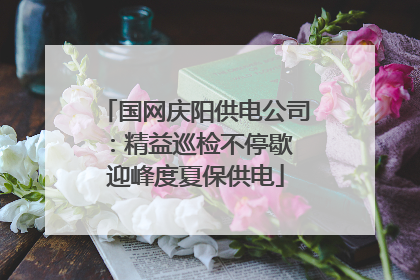 国网庆阳供电公司：精益巡检不停歇 迎峰度夏保供电