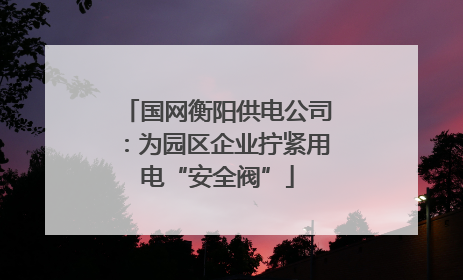 国网衡阳供电公司：为园区企业拧紧用电“安全阀”