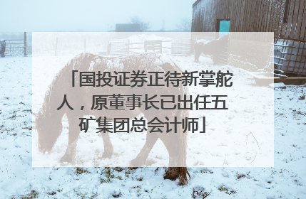 国投证券正待新掌舵人，原董事长已出任五矿集团总会计师