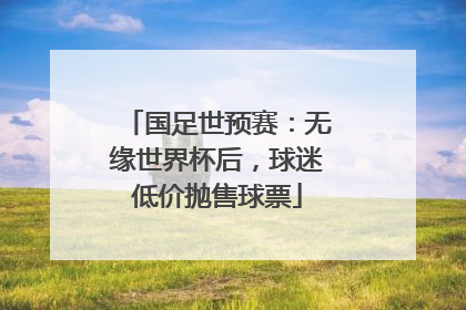 国足世预赛：无缘世界杯后，球迷低价抛售球票