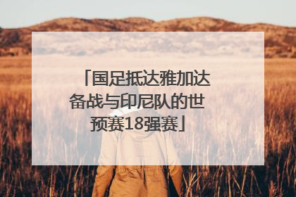 国足抵达雅加达备战与印尼队的世预赛18强赛