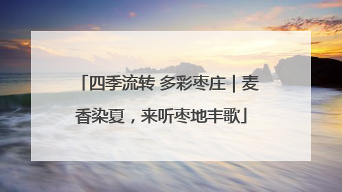 四季流转 多彩枣庄｜麦香染夏，来听枣地丰歌