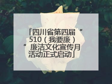 四川省第四届“510（我要廉）”廉洁文化宣传月活动正式启动