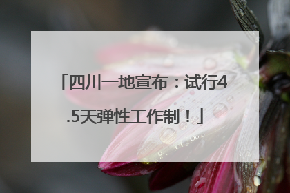 四川一地宣布：试行4.5天弹性工作制！