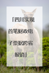 四川实现首笔财政电子票据跨省报销