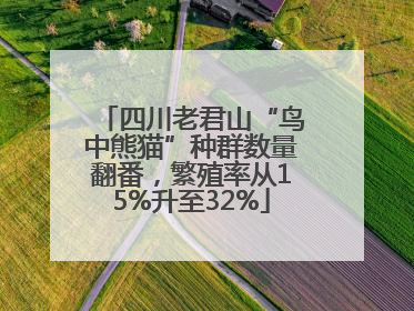 四川老君山“鸟中熊猫”种群数量翻番，繁殖率从15%升至32%