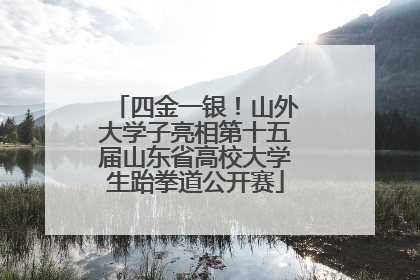 四金一银！山外大学子亮相第十五届山东省高校大学生跆拳道公开赛