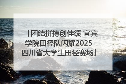 团结拼搏创佳绩 宜宾学院田径队闪耀2025四川省大学生田径赛场