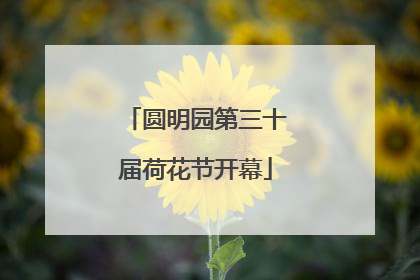 圆明园第三十届荷花节开幕