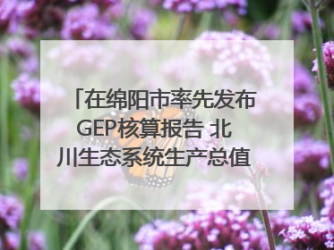 在绵阳市率先发布GEP核算报告 北川生态系统生产总值达590亿元｜新闻发布最前线