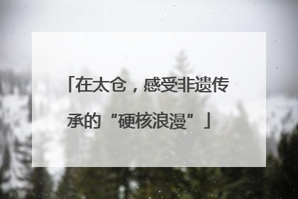 在太仓，感受非遗传承的“硬核浪漫”