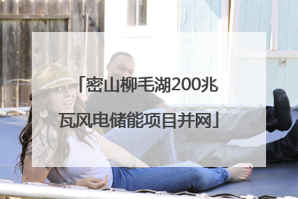 密山柳毛湖200兆瓦风电储能项目并网
