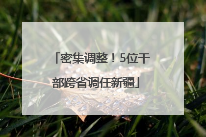 密集调整！5位干部跨省调任新疆