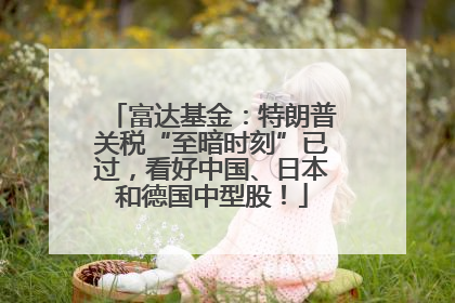 富达基金：特朗普关税“至暗时刻”已过，看好中国、日本和德国中型股！