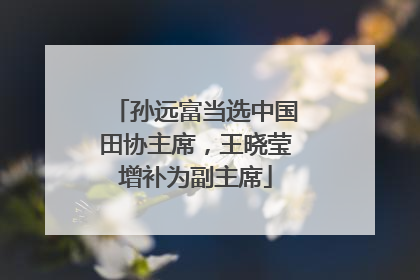 孙远富当选中国田协主席，王晓莹增补为副主席